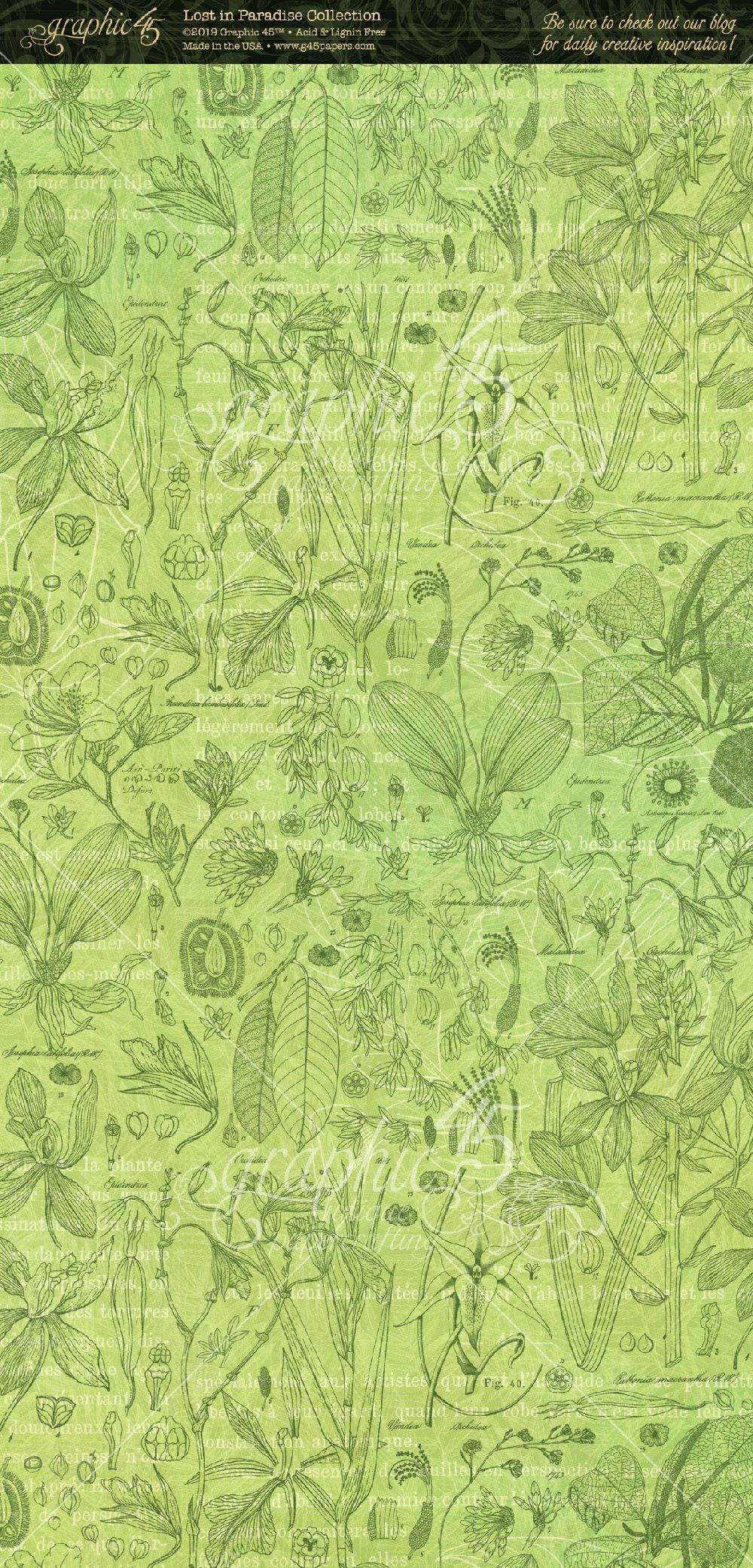 Graphic 45 Lost In Paradise Tags and Pockets